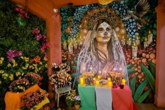 5fce97c5-61a7-4dbe-aa28-e9d205ebdff2