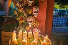 WhatsApp-Image-2023-11-01-at-10.19.34